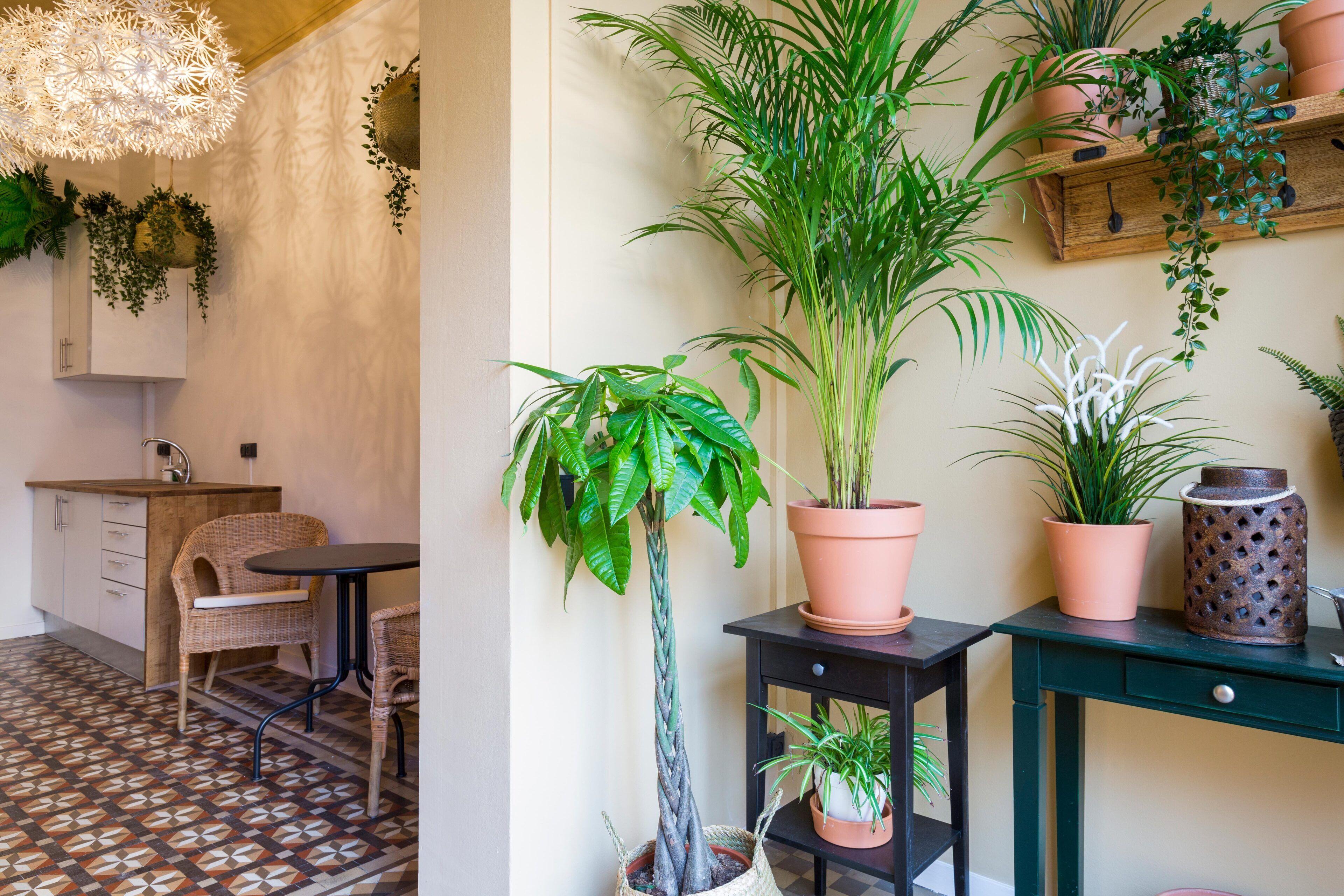 Casa Maca Guest House, Barcelona